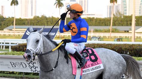 white abbario|White Abarrio: Derby horse's jockey, trainer, owner, bloodline, more.